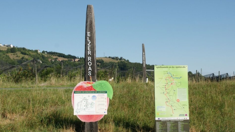 Bike Riding Herbst- Radtour im ApfelLand- Elzer Runde - Touren-Impression #2.2 | © Oststeiermark Tourismus