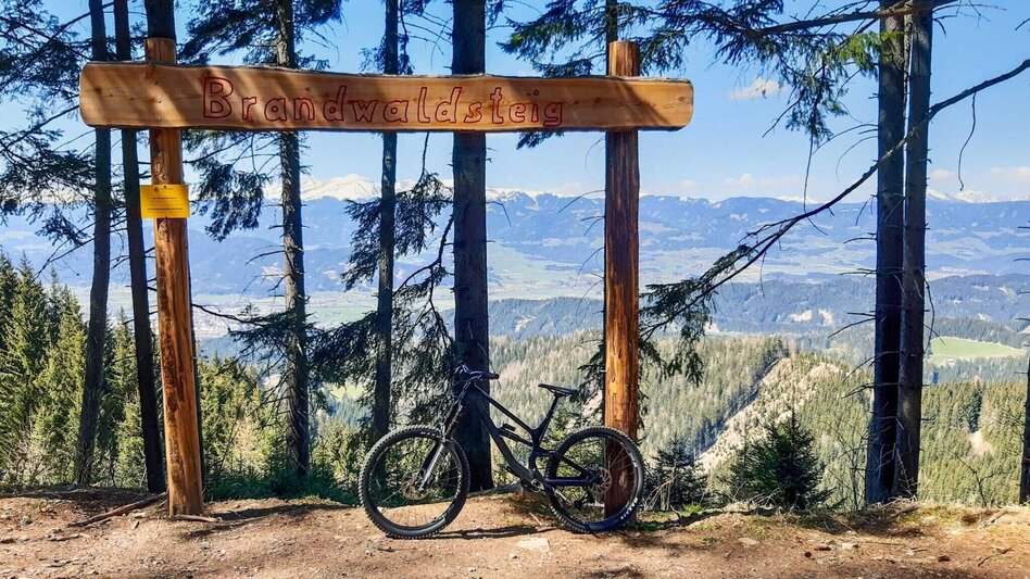 Singletrail Tour 67g - MTB Murtal - Brandwaldsteig - Touren-Impression #2.1 | © Erlebnisregion Murtal