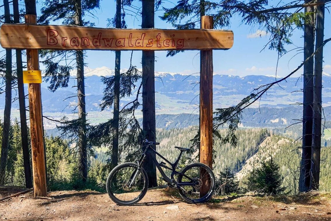 Singletrail Tour 67g - MTB Murtal - Brandwaldsteig - Touren-Impression #1 | © Erlebnisregion Murtal