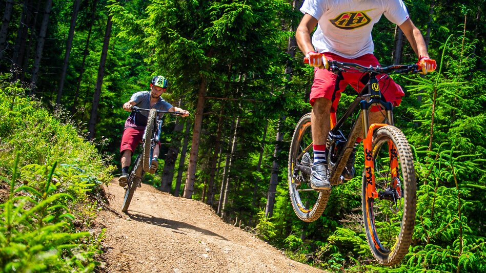 Singletrail Tour 67g - MTB Murtal - Brandwaldsteig - Touren-Impression #2.3 | © MTB Region Murtal