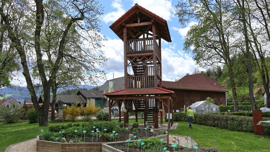 Mountain Biking Tour 67e - MTB - Murtalblick round long - Touren-Impression #2.2 | © WEGES OG