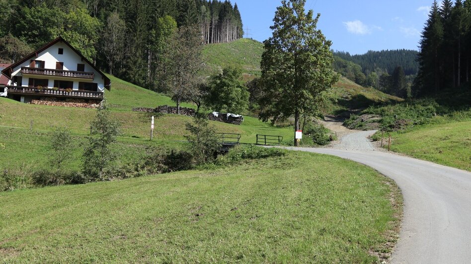 Mountain Biking Tour 67e - MTB - Murtalblick round long - Touren-Impression #2.3 | © WEGES OG