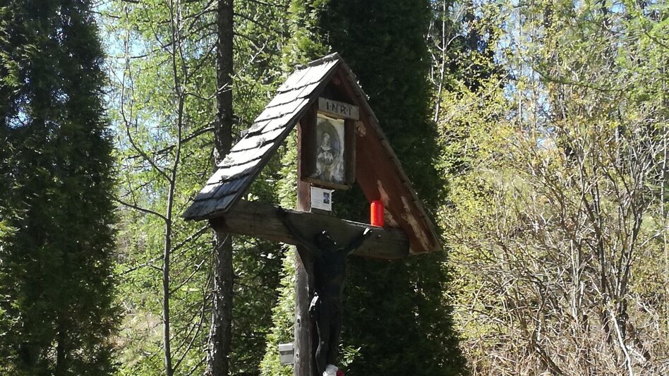 Mountain Biking Tour 10a - MTB - Schwarzer Herrgott - Touren-Impression #2.3 | © Alpenverein Knittelfeld