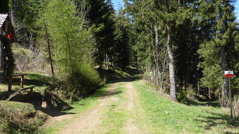 Mountain Biking Tour 10a - MTB - Schwarzer Herrgott - Touren-Impression #2.4 | © Alpenverein Knittelfeld