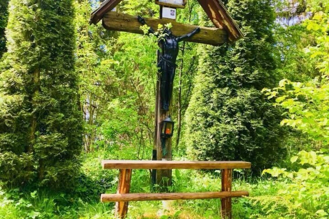 Mountain Biking Tour 10a - MTB - Schwarzer Herrgott - Touren-Impression #1 | © Erlebnisregion Murtal