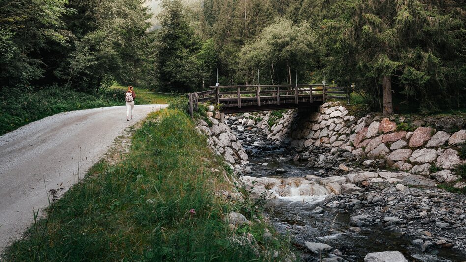 Hiking route Dorfrunde Donnersbachwald - Touren-Impression #2.1 | © Christoph Lukas