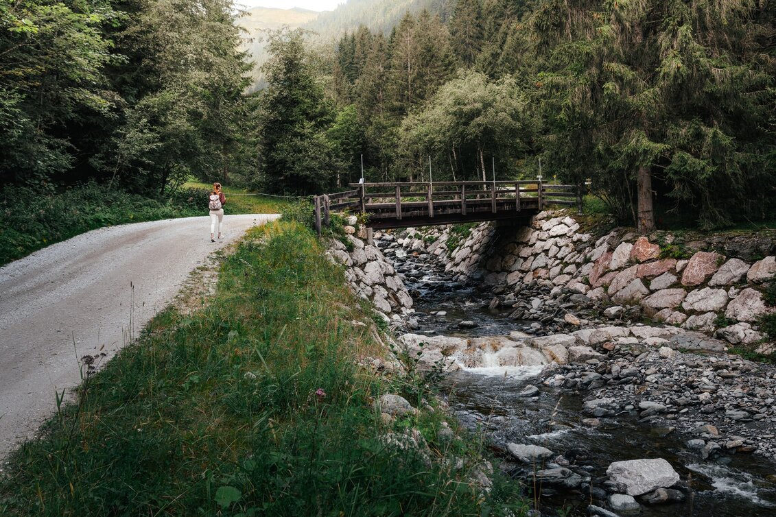 Hiking route Dorfrunde Donnersbachwald - Touren-Impression #1 | © Christoph Lukas