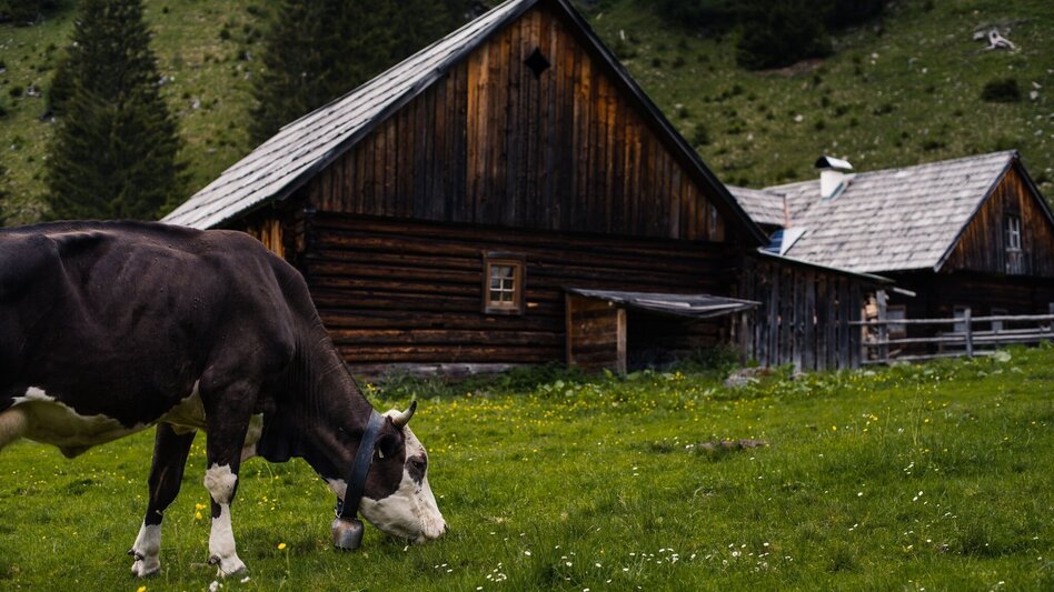 Wanderung Lärchkaralm - Touren-Impression #2.5 | © Erlebnisregion Schladming-Dachstein