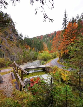 Kaiser Franz Josef-Denkmal | Brigitte Digruber | © TV Hochsteiermark