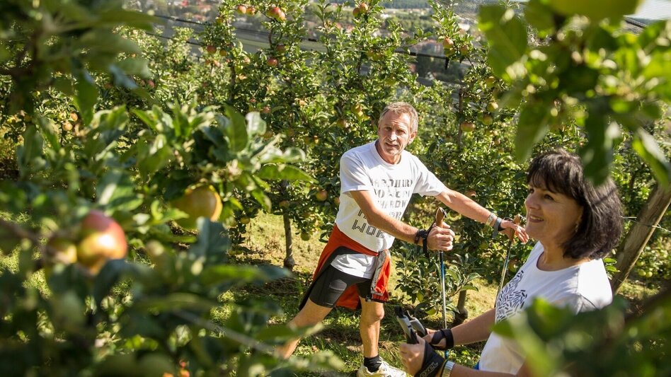 Hiking route Apple circuit Etzersdorf – Rollsdorf - Touren-Impression #2.11 | © Oststeiermark Tourismus