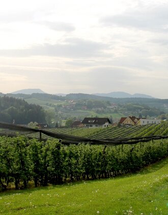 Rollsdorf Apfelgärten (c) Steininger | Martina Steininger | © TV St. Ruprecht an der Raab