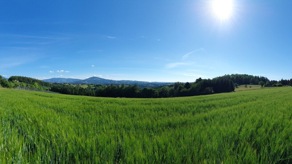 Hiking route Apple circuit Etzersdorf – Rollsdorf - Touren-Impression #2.7 | © Oststeiermark Tourismus