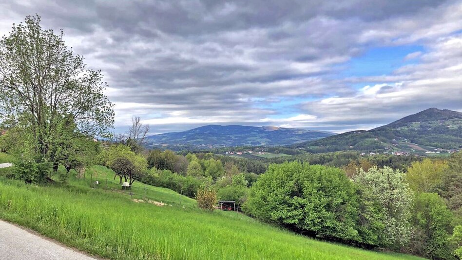 Hiking route Apple circuit Etzersdorf – Rollsdorf - Touren-Impression #2.13 | © Oststeiermark Tourismus