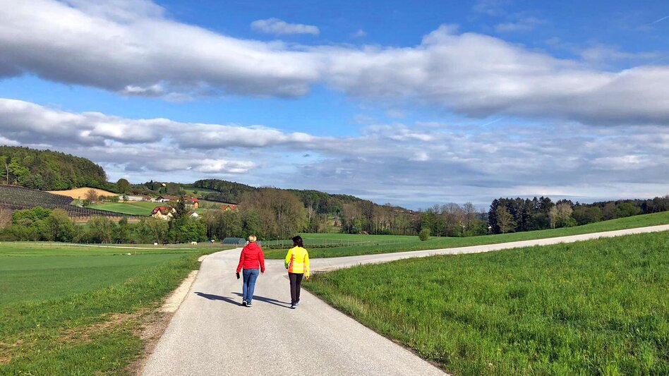 Hiking route Apple circuit Etzersdorf – Rollsdorf - Touren-Impression #2.14 | © Oststeiermark Tourismus
