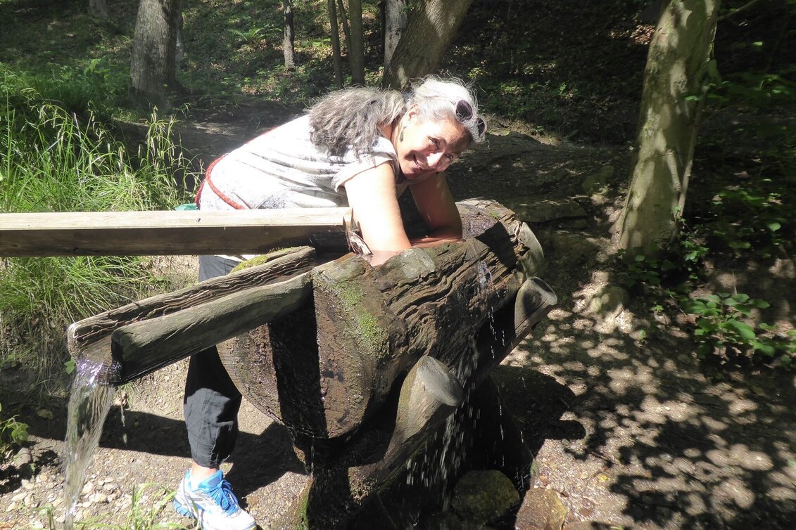 Wanderung Die "innere" Ungarische Runde - Touren-Impression #1 | © Region Graz