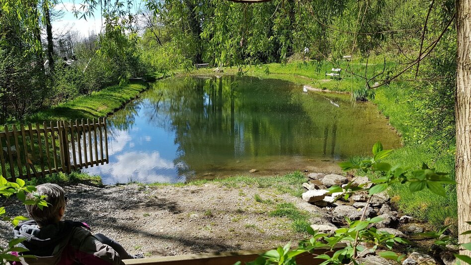 Hiking route The ‘great’ Hungarian round - Touren-Impression #2.1 | © Region Graz