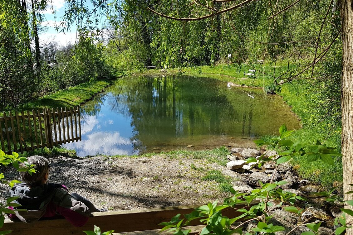Hiking route The ‘great’ Hungarian round - Touren-Impression #1 | © Region Graz