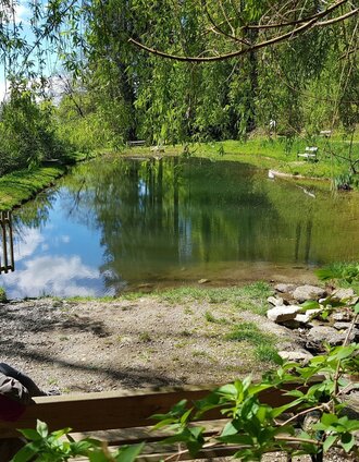 Frühling am Doktorteich | Andrea Adler-König | © Region Graz