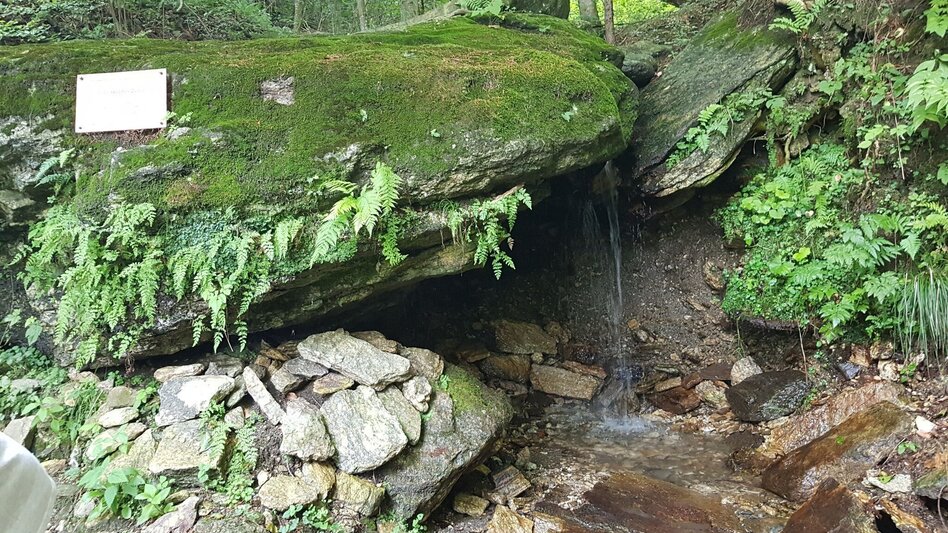 Hiking route The ‘great’ Hungarian round - Touren-Impression #2.4 | © Region Graz