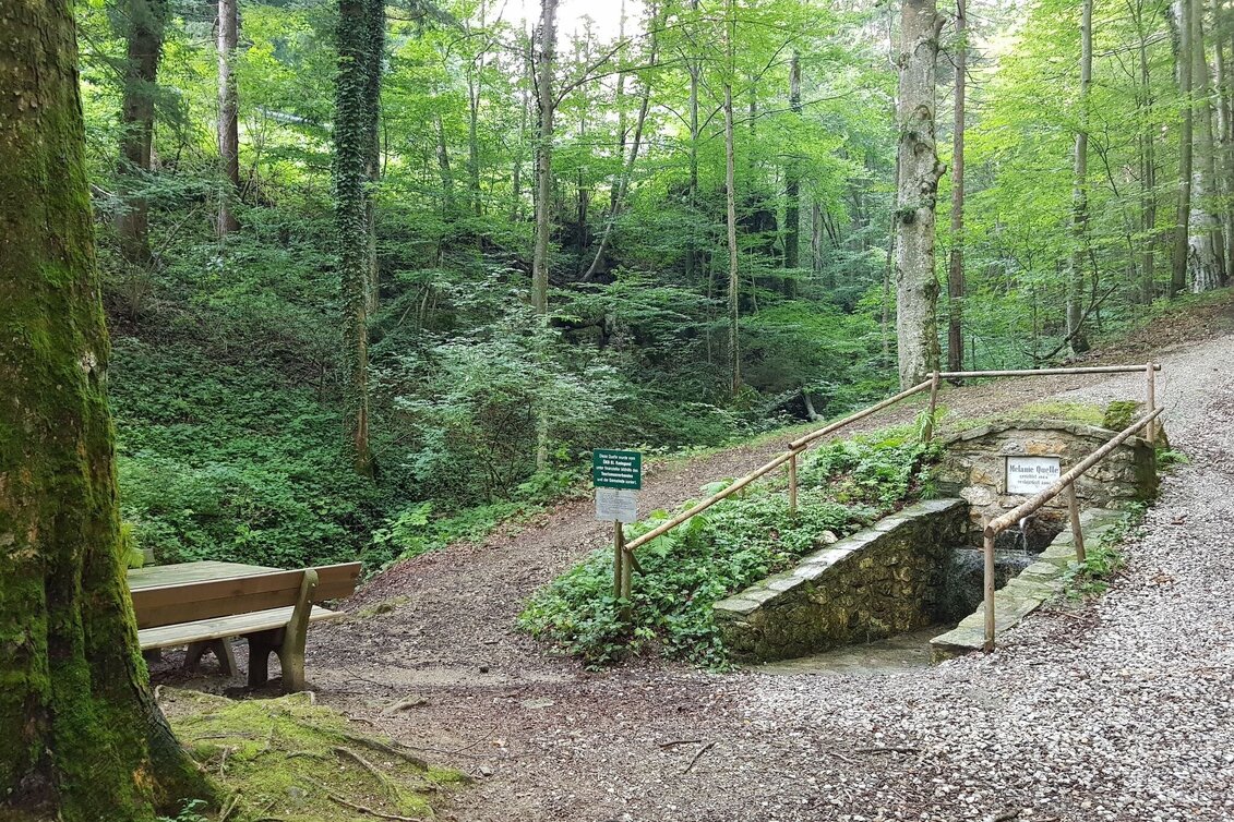 Wanderung Die kulturreiche Kalvarienbergrunde - Touren-Impression #1 | © Region Graz