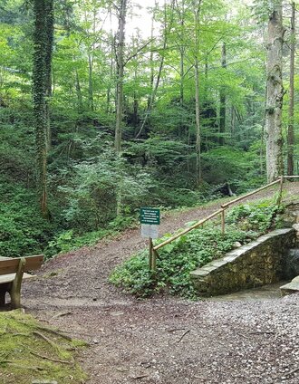 kühles Quellwasser an kühlen Plätzen | Andrea Adler-König | © Region Graz