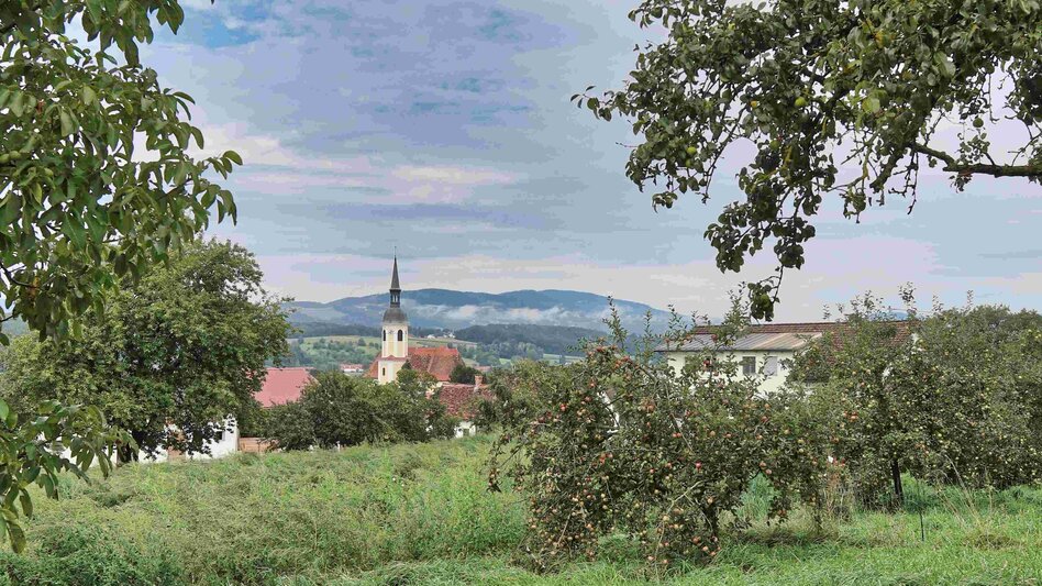 Hiking route Legendary trail, Kaindorf - Touren-Impression #2.1 | © Oststeiermark Tourismus