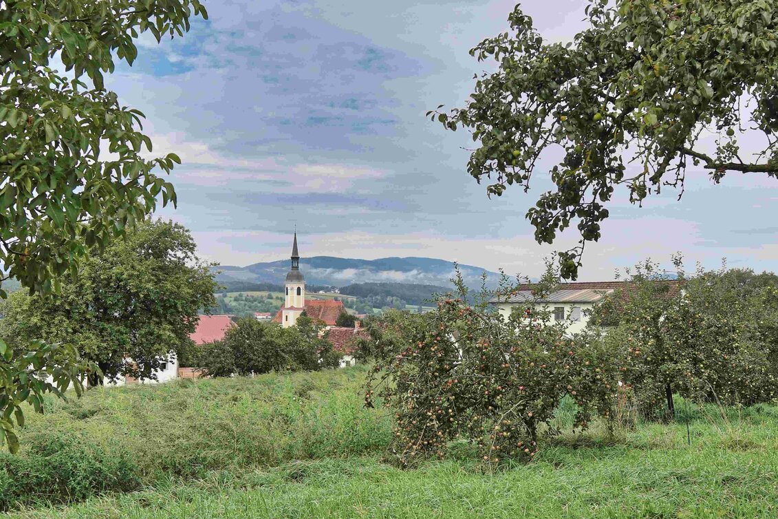 Hiking route Legendary trail, Kaindorf - Touren-Impression #1 | © Oststeiermark Tourismus