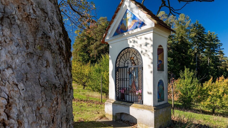 Bike Riding Chapel Tour - Touren-Impression #2.1 | © Region Graz