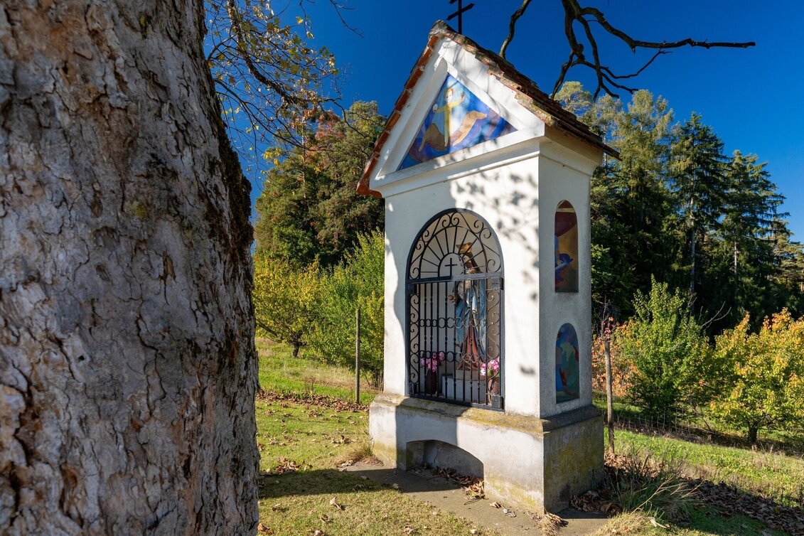 Bike Riding Chapel Tour - Touren-Impression #1 | © Region Graz