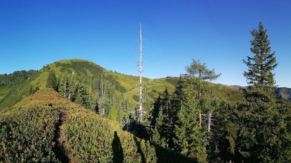 Hiking route Jagasteig-Riesneralm - Touren-Impression #2.1 | © Erlebnisregion Schladming-Dachstein