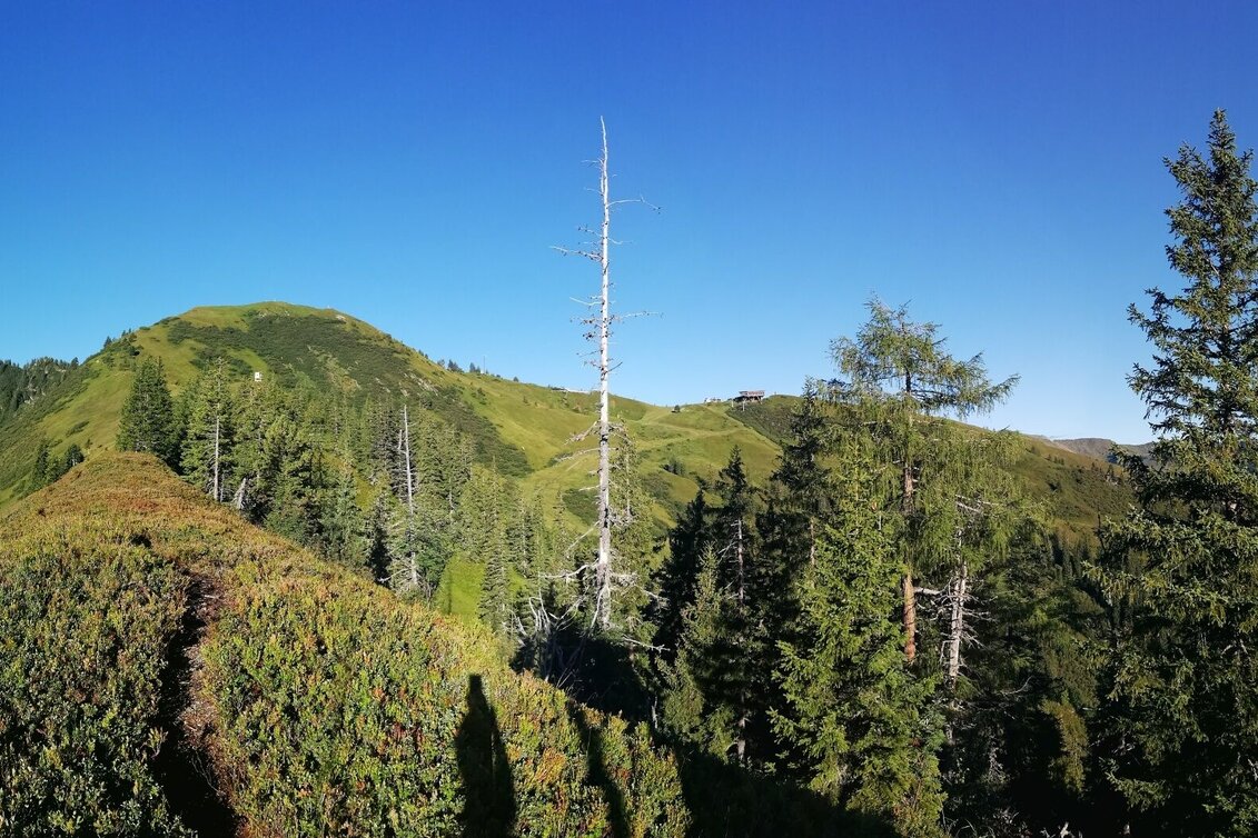 Hiking route Jagasteig-Riesneralm - Touren-Impression #1 | © Erlebnisregion Schladming-Dachstein
