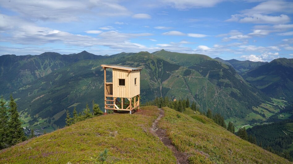 Hiking route Jagasteig-Riesneralm - Touren-Impression #2.2 | © Unbekannt