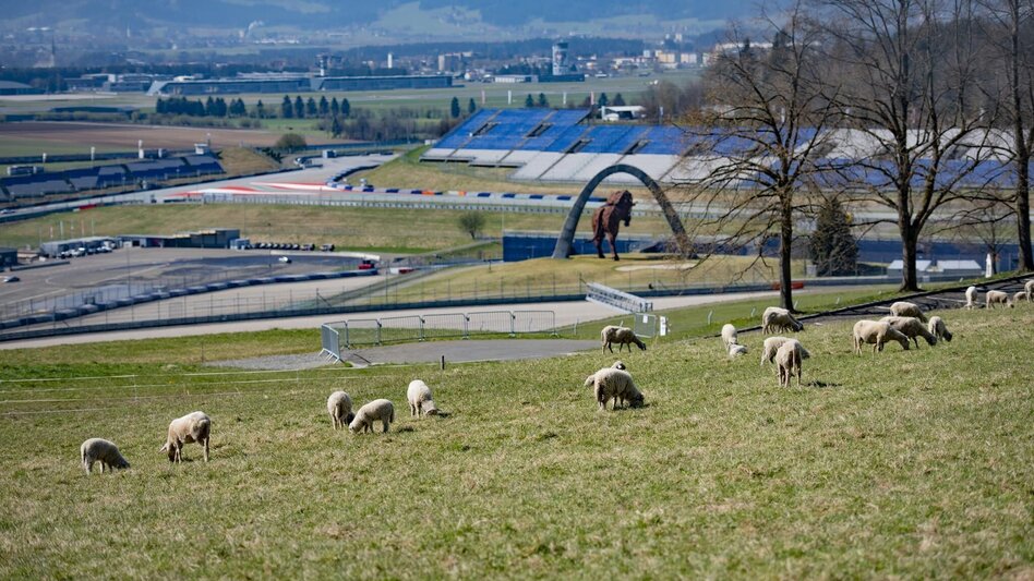 Wanderung Panoramatour vom Red Bull Ring bis nach Fohnsdorf - Touren-Impression #2.1 | © Erlebnisregion Murtal