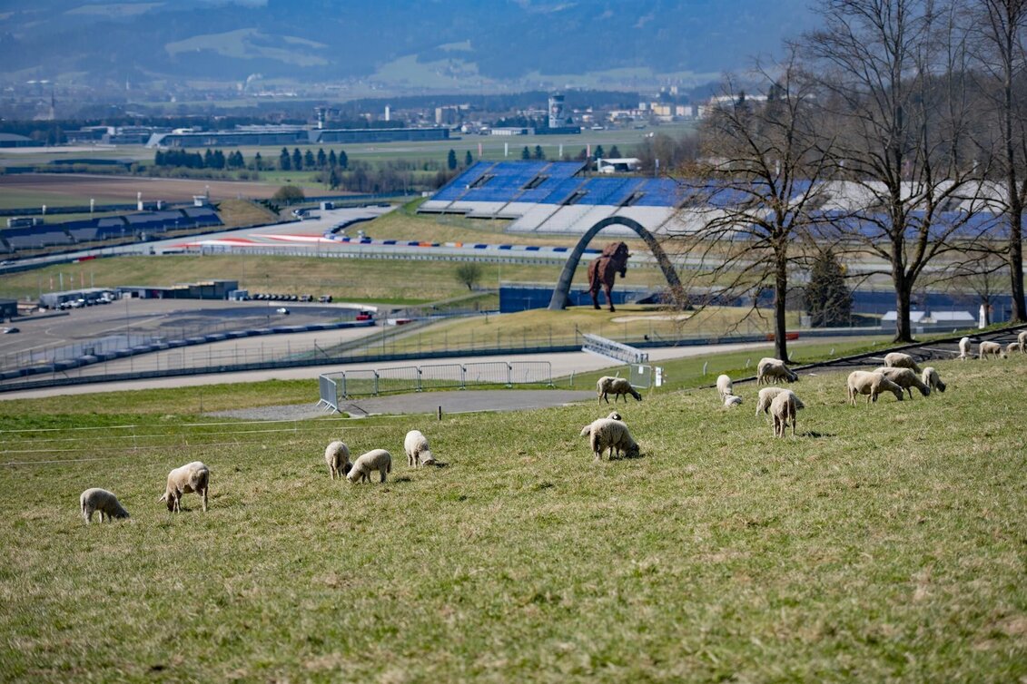 Wanderung Panoramatour vom Red Bull Ring bis nach Fohnsdorf - Touren-Impression #1 | © Erlebnisregion Murtal