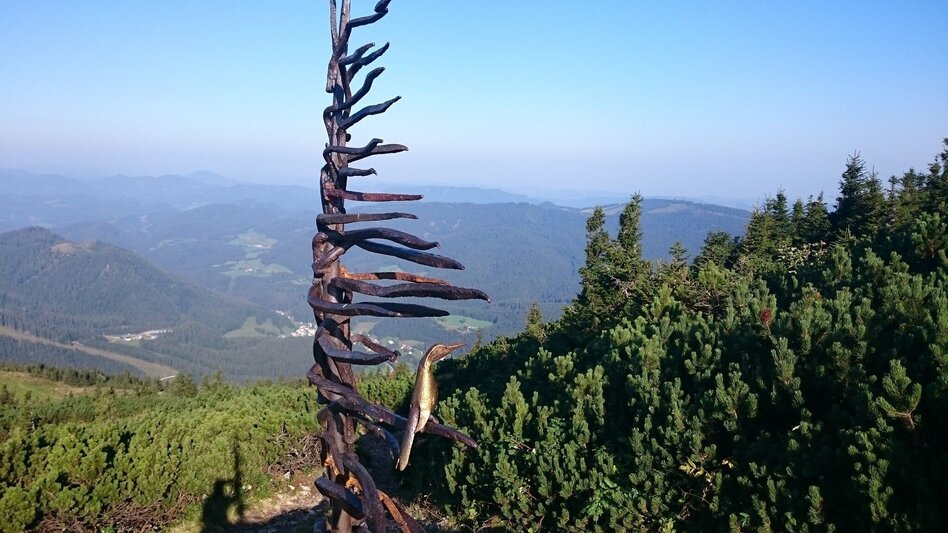 Hiking route From Lackenhof to the Ötscher - Touren-Impression #2.3 | © TV Hochsteiermark