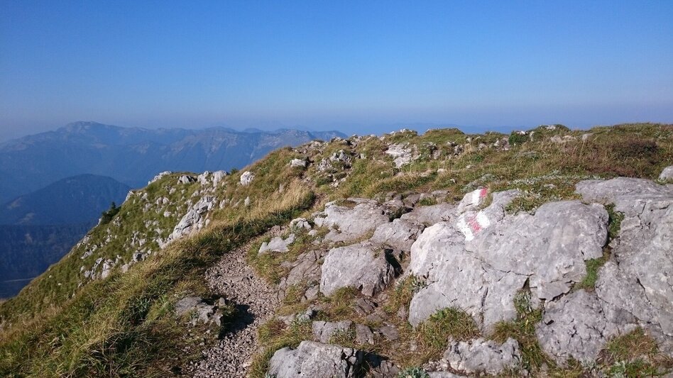 Hiking route From Lackenhof to the Ötscher - Touren-Impression #2.4 | © TV Hochsteiermark