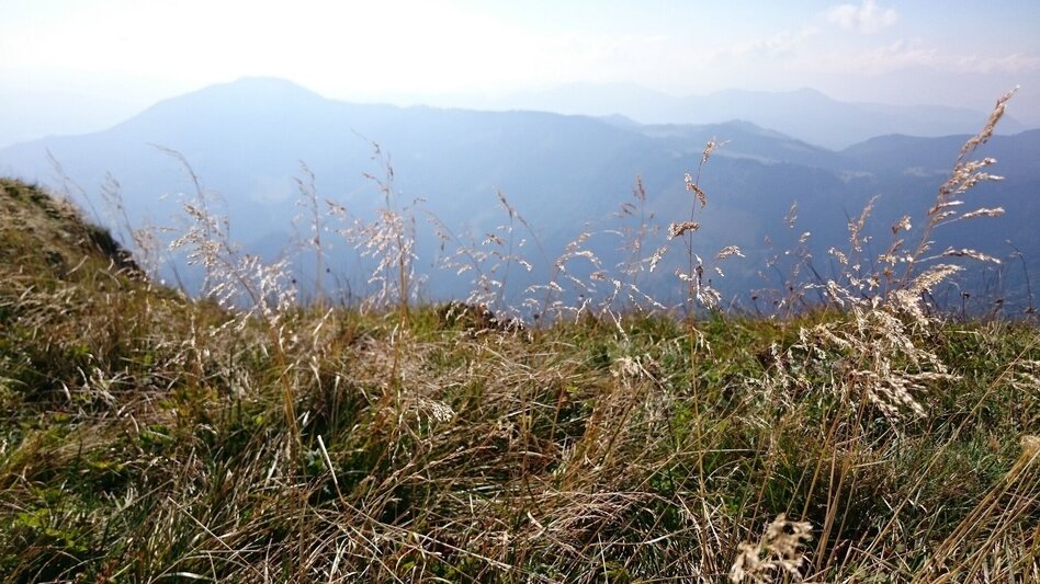 Hiking route From Lackenhof to the Ötscher - Touren-Impression #2.6 | © TV Hochsteiermark