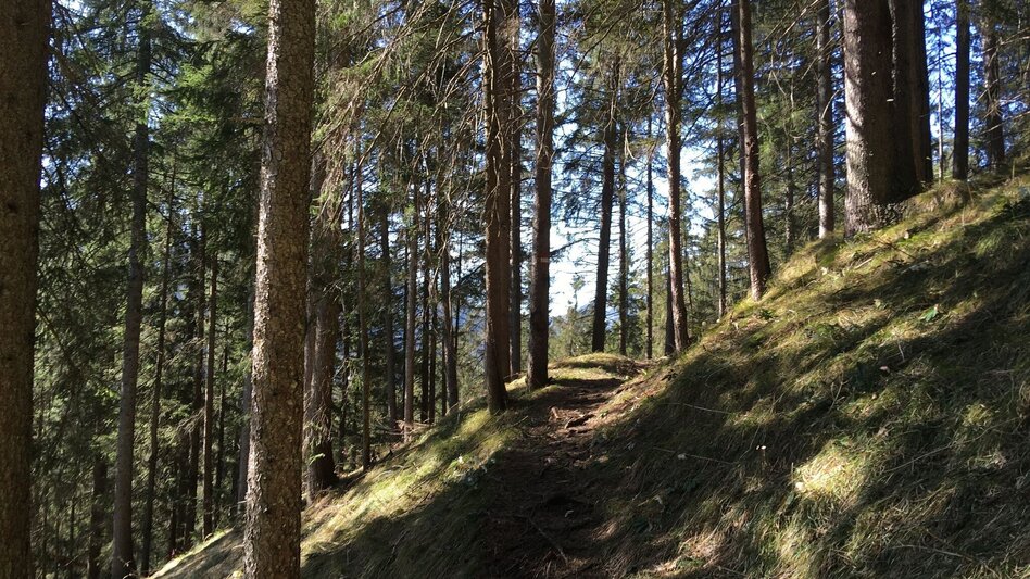 Hiking route Power place Spielmäuer - Touren-Impression #2.3 | © TV Hochsteiermark