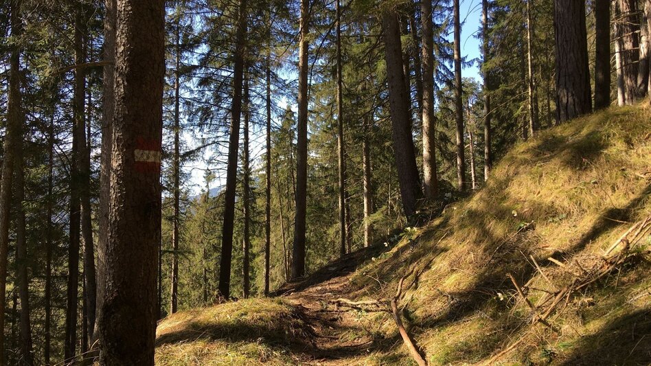 Hiking route Power place Spielmäuer - Touren-Impression #2.6 | © TV Hochsteiermark