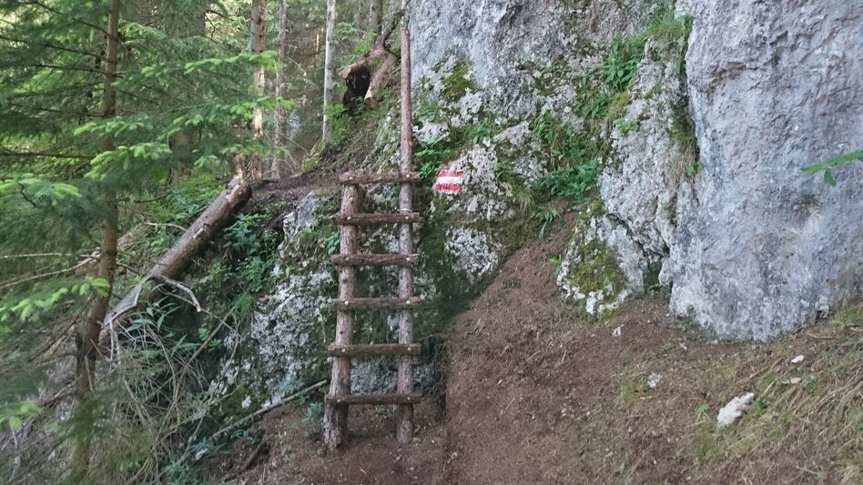 Hiking route Power place Spielmäuer - Touren-Impression #2.7 | © TV Hochsteiermark