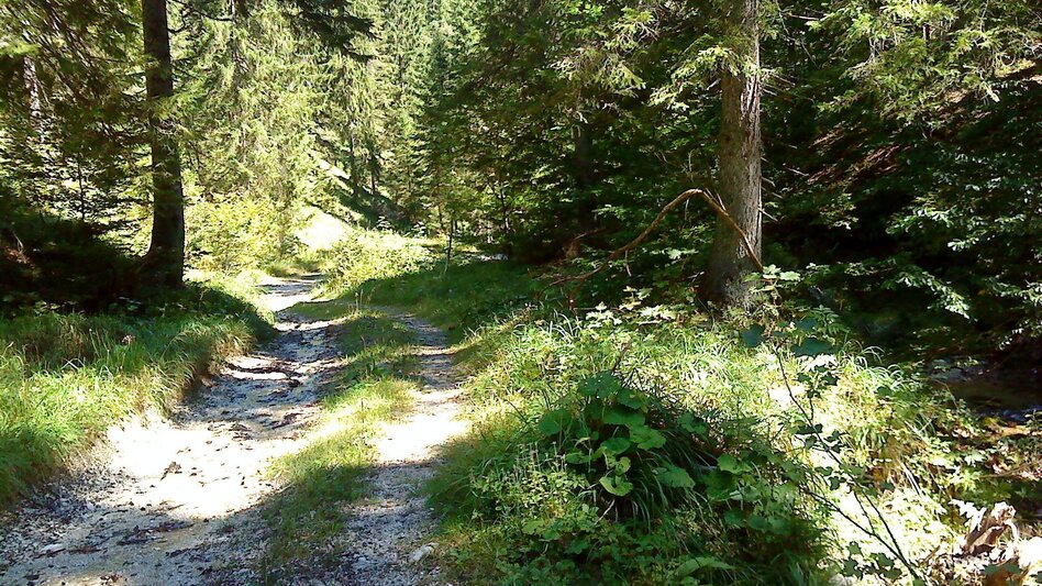 Hiking route Hike to the Great Zell Hut from Marienwasserfall - Touren-Impression #2.2 | © TV Hochsteiermark