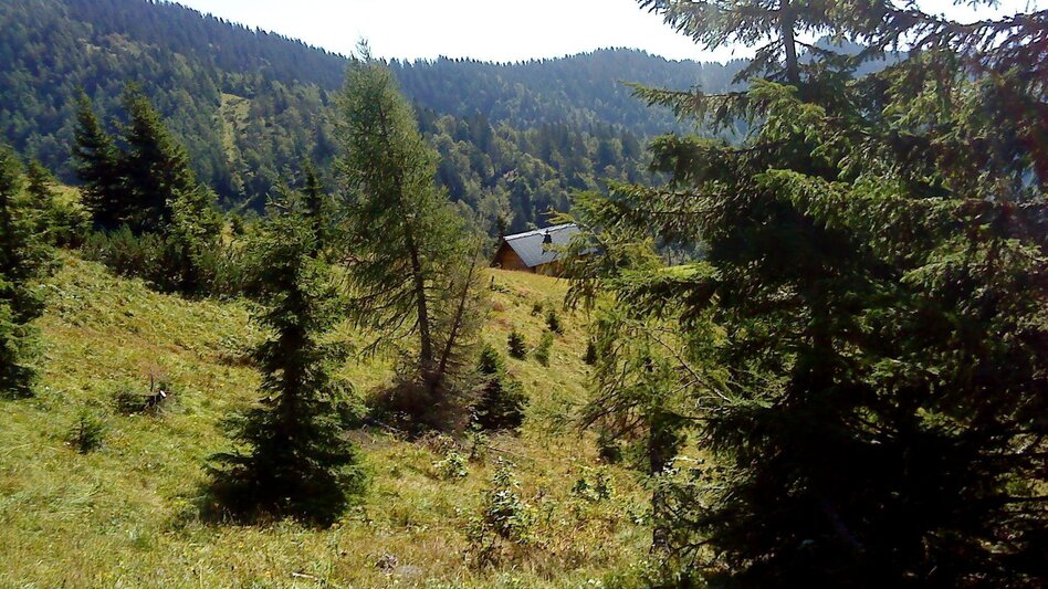 Hiking route Hike to the Great Zell Hut from Marienwasserfall - Touren-Impression #2.8 | © TV Hochsteiermark