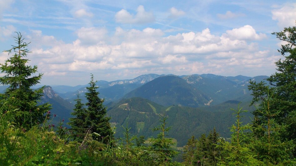 Wanderung Wanderung auf die Graualm - Touren-Impression #2.2 | © TV Hochsteiermark