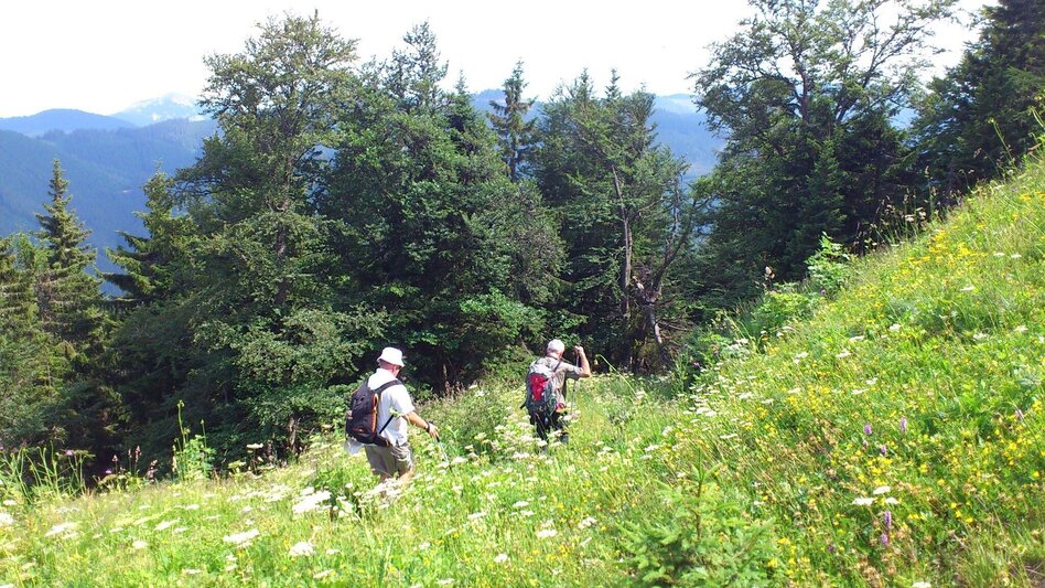 Wanderung Wanderung auf die Graualm - Touren-Impression #2.3 | © TV Hochsteiermark