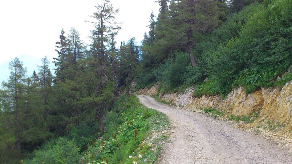 Wanderung Wanderung auf die Graualm - Touren-Impression #2.4 | © TV Hochsteiermark