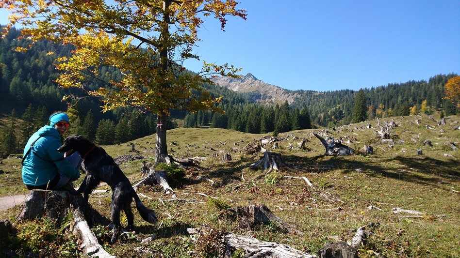 Hiking route Via the Kräuterinalm to the Hochstadl - Touren-Impression #2.1 | © TV Hochsteiermark