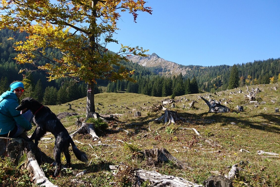 Hiking route Via the Kräuterinalm to the Hochstadl - Touren-Impression #1 | © TV Hochsteiermark