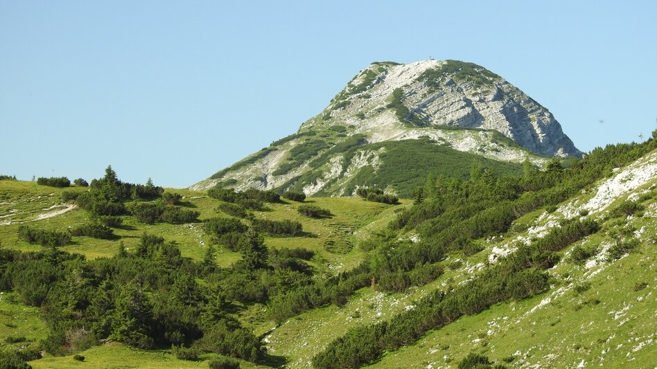 Hiking route Via the Kräuterinalm to the Hochstadl - Touren-Impression #2.2 | © TV Hochsteiermark