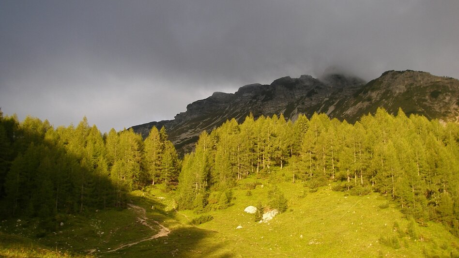 Hiking route Via the Kräuterinalm to the Hochstadl - Touren-Impression #2.8 | © TV Hochsteiermark