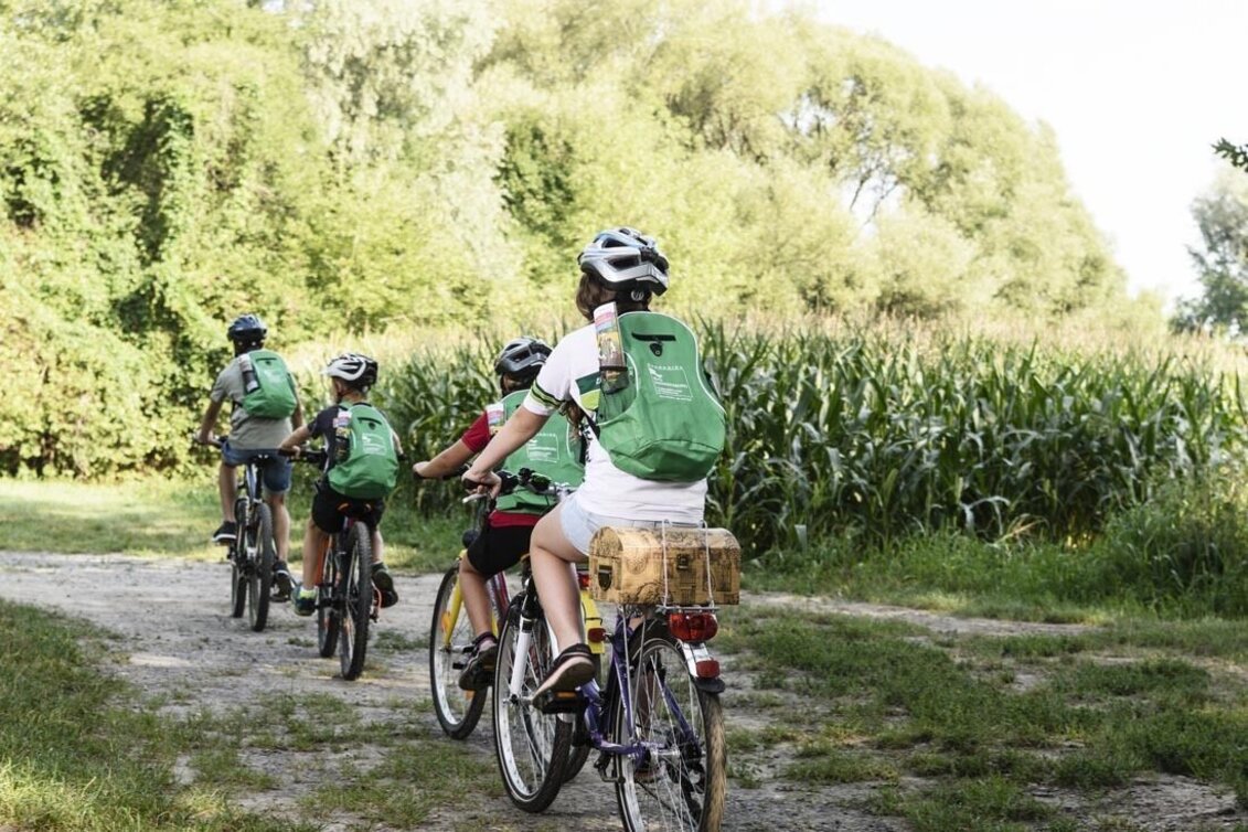 Bike Riding AnRADeln - Familien-Tour - Touren-Impression #1 | © Thermen- & Vulkanland